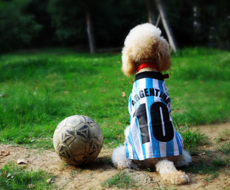 多元协同，适配不同主体需求